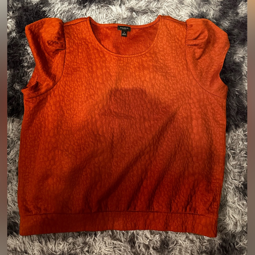 Ann Taylor Cheetah Shirt